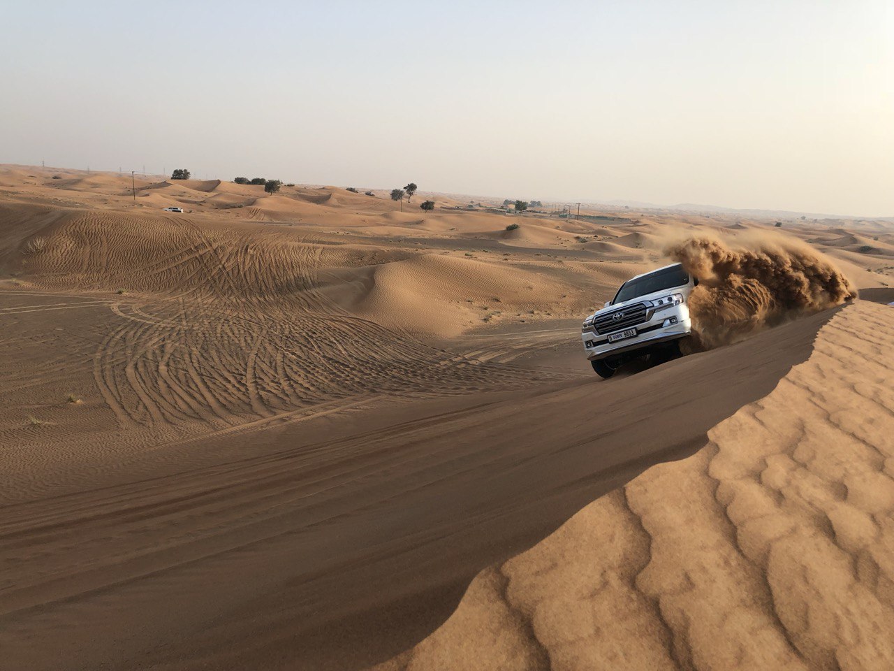 5999242901130953305 – Copy